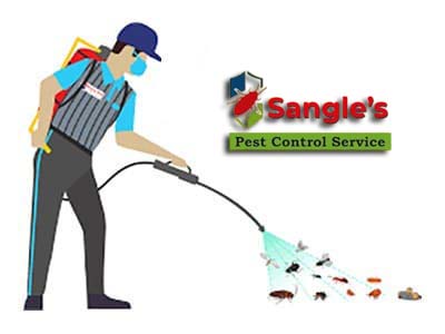 General Pest Management